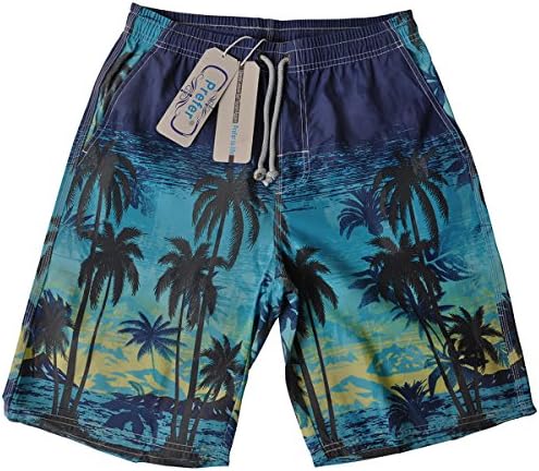Men's Beach Pants Seascape Casual Coco Artwork Prints for Outdoor Travel,Professional Beach Board Shorts Wear Quick Dry Waterproof Anti Sand Swim Trunks,Peach Skin Fabric(M Size,Blue Coco Color)