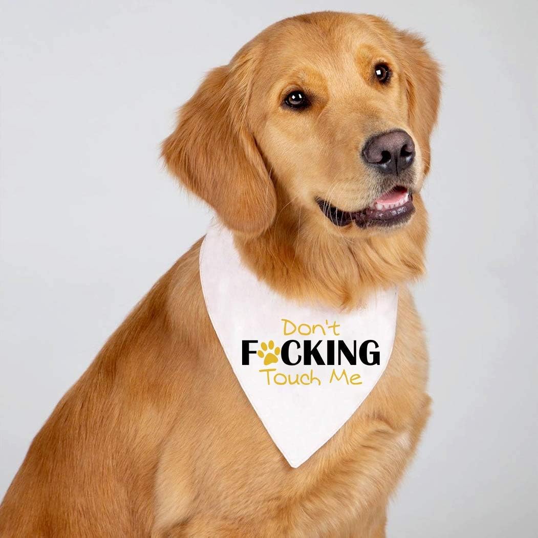 reactive dog bandana