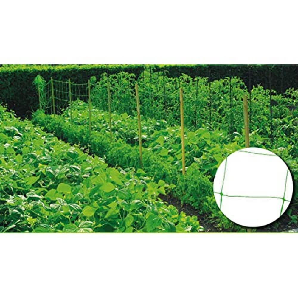 Riegolux 999156 20 x 20 cm Structure Mesh, Green, 2 x 25 m