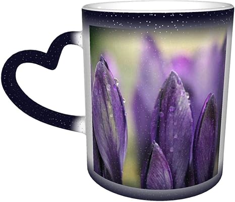 Amazon Co Jp クロッカス 花 むらさき マグカップ 色が変わる コーヒーカップ セラミック 陶器 330ml マジックカップ 星空 温感変色 熱に強い 軽量 使い勝 手良い 水筒 取っ手付き おもしろい プレゼント お誕生日 贈り物 に ホーム キッチン Amazon Co Jp クロッカス 花 むらさき マグカップ 色が変わる コーヒーカップ セラミック 陶器 330ml マジックカップ 星空 温感変色 熱に強い 軽量 使い勝 手良い 水筒 取っ手付き おもしろい プレゼント お誕生日 贈り物 に ホーム キッチン