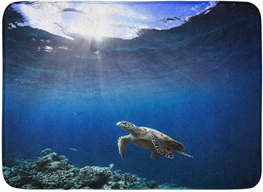 N/A Tapete De Baño Vida Salvaje Bajo El Agua Animales Buzos Aventuras