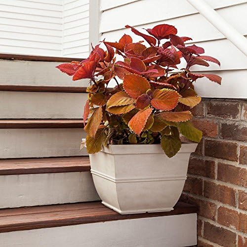 14 in. x 10.5 in. Ceramix Brooklyn Planter