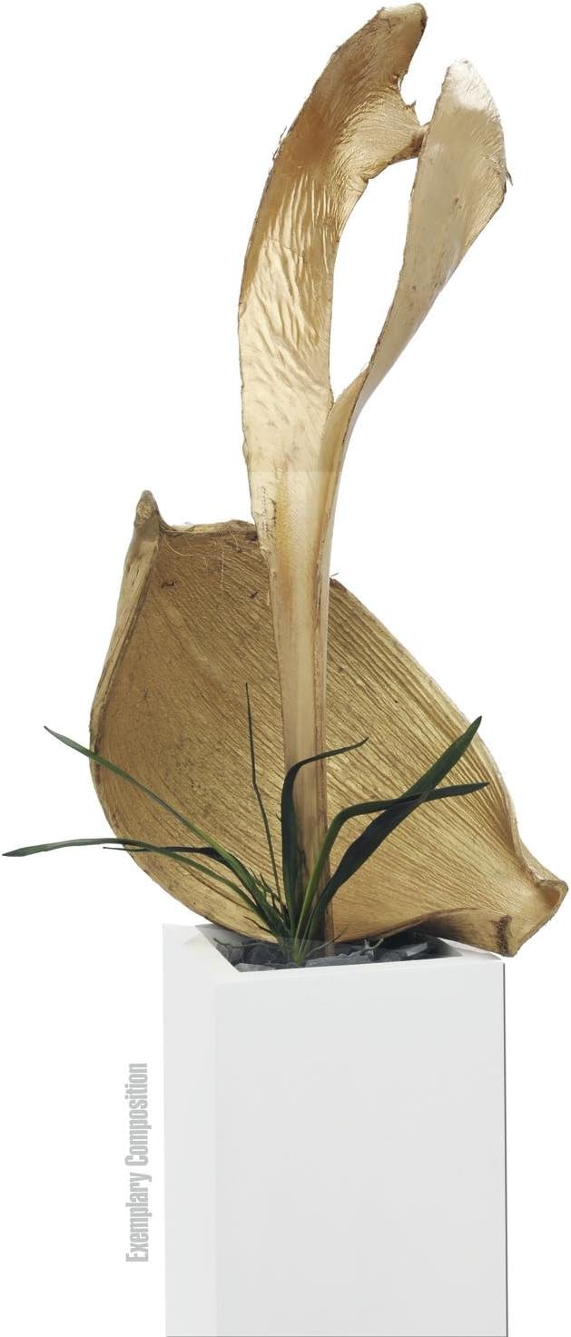 Europalms 83502362 Palm Leaf Head, Dried, Gold, Multicoloured, One Size