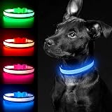 YFbrite Light Up Dog Collar USB Rechargeable LED Blue Medium