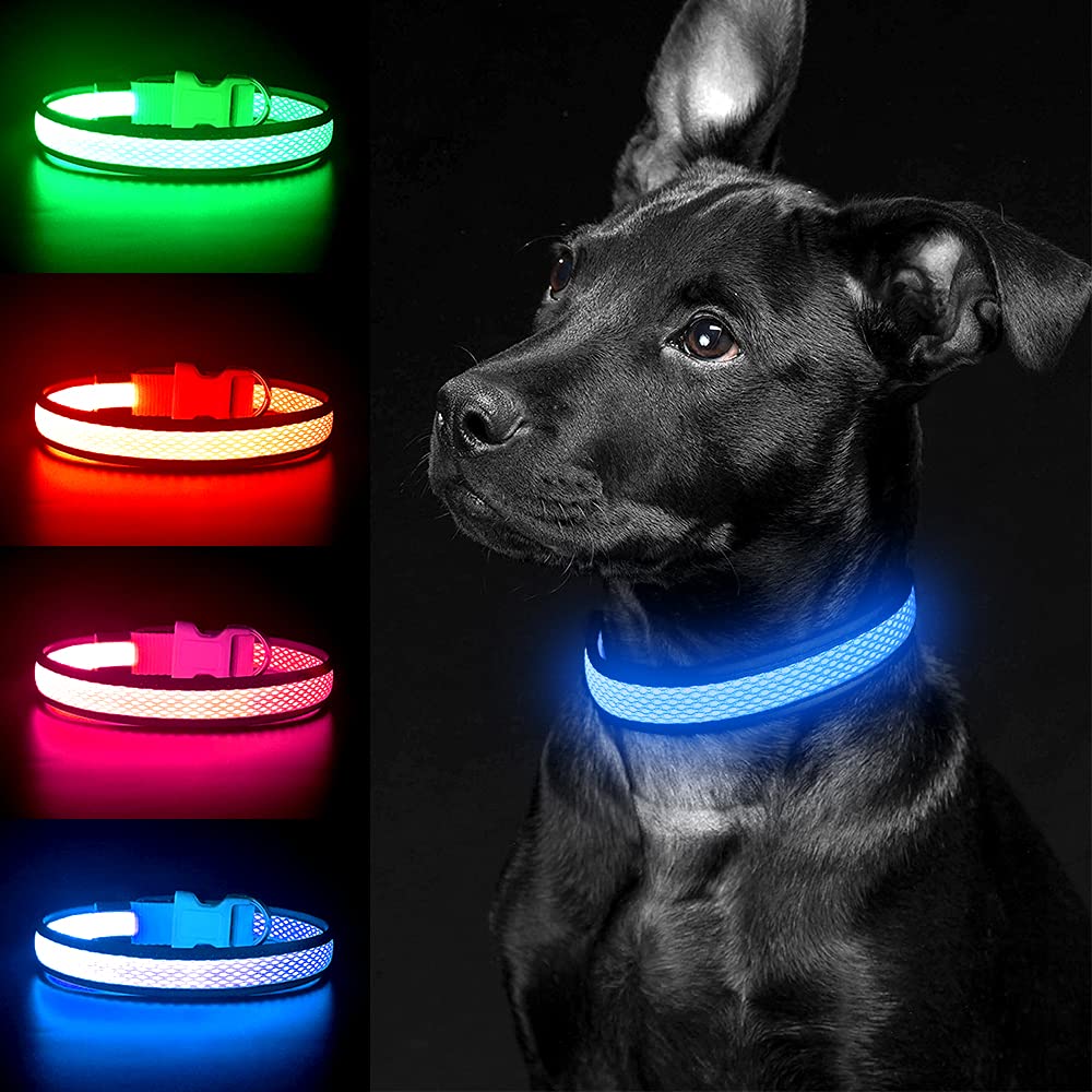 YFbrite Light up Dog Collar, Rechargeable LED Dog Collar, Flashing Dog Collar, Adjustable Reflective Dog Collar Safety Glowing at night (Blue, Large)
