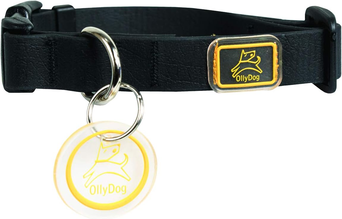 puppy luv animal rescue