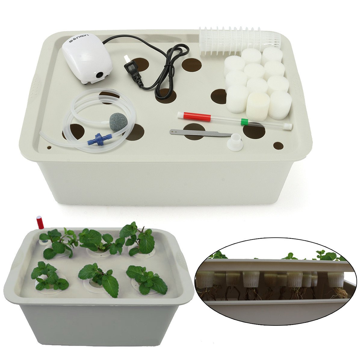 How To Start Indoor Growing Hydroponics For Beginners
