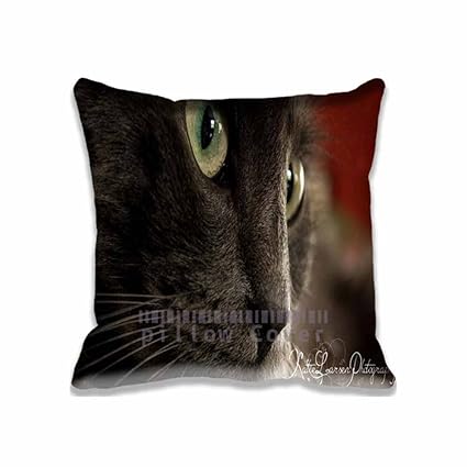 Amazon Com Black Cat Square Pillow Cushion Pillowcase Case