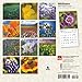 Wildflowers 2016 Calendar