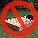 Kids Sandbox with Lid Sand Box for Kids Outdoor with Lid Cedar Wooden Sand Pit Box for Kids with 2 Foldable Bench Seats 4 ft x 4 ft Sand boxes for Kids Outdoor With Lid Sandbox toys for 2-8 years