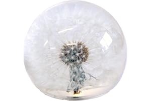 REALBUG 2.5" Real Dandelion Globe