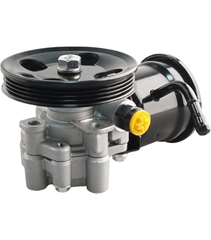 Amazon.com: AUQDD 21-5229 New Power Steering Pump (For V6-3.4L