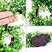 COLIBROX Plastic Fish Tank Plants Artificial Aquarium Plants Realistic Water Plant for Aquariums Decorations,6.6 inches Tall Green