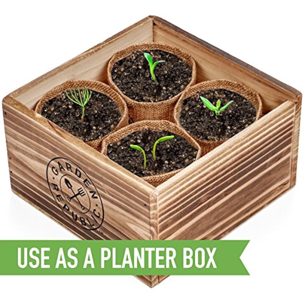 Cactus Succulent Seed Starter Kit Indoor Garden Grow Kits, Seeds For