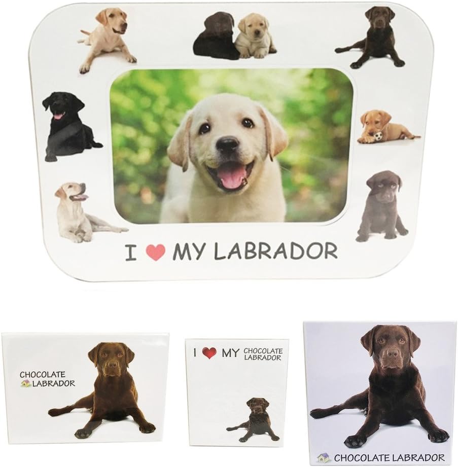 I Love My Chocolate Labrador Magnet Set (2 Metal Magnets, 1 Photo Frame, 1 Memo Pad)