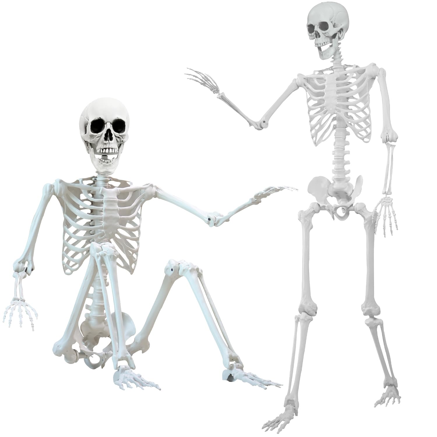 Photo 1 of 5.4 ft Halloween Skeleton Poseable Skeleton Life Size Skeleton Full Body Plastic Human Bones Standing Human Skeleton with Posable Joints for Halloween Decoration?1PCS