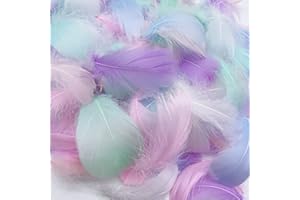 LWINGFLYER 100pcs Tiny Pastel Colors Goose Feather 2-3Inch Assorted Fluffy Feathers for Crafts Dream Catcher Wedding Home Party Decorations Earrings Making