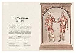 Anatomicum
