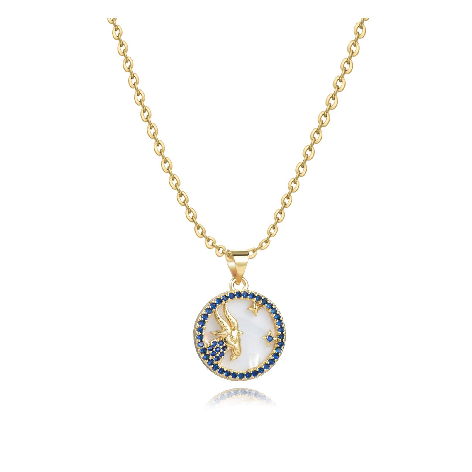 SBI Jewelry Capricorn Birthday Women's Personalised Necklace for Mum Constellation Pendants for Women Ladies Jewelry Gifts Family Anniversary