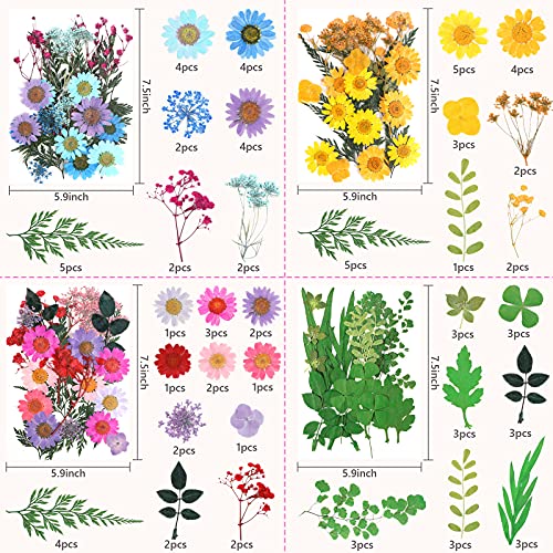 Bloomst Dried Flowers, 4 Pack 100Pcs Pressed Natural Dried Flowers Herbs Set for Resin Jewelry Making Soap Candle Making