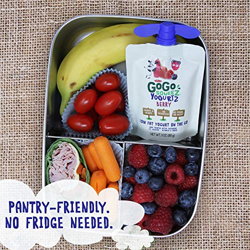 5 GoGo+YogurtZ+Portable+BPA+Free+Gluten+Free