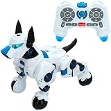 ColorBaby 47836 Warriors Robot Giocattolo telecomandato, Intelligente e