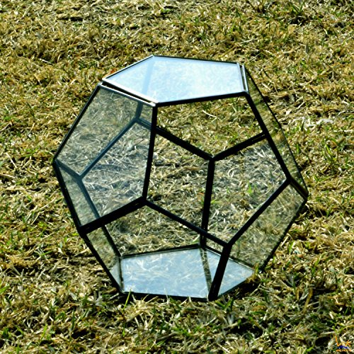 WK Home Glass Terrarium Pentagon, Black Regular Geometric Container Sphere Terrarium Desktop Planter for Air Plants