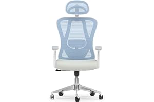 naspaluro Ergonomic Office Chair：High Back Desk Chair with 3D Adjustable Armrest and Headrest,2D Lumbar Support,135° Rocking Backrest, Mesh Computer Chair for Home Office,Study,Blue