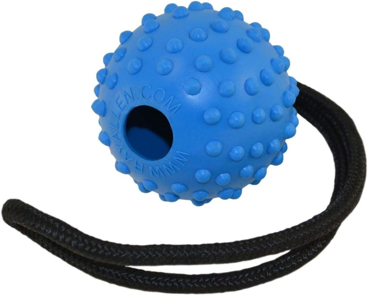 ray allen dog training