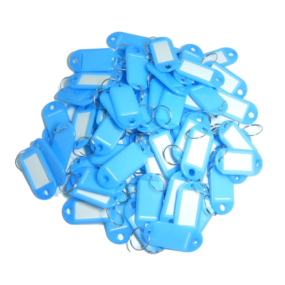 TOOLSTAR Key Labels, 100PCS Key ID Tags Key Labels Tags Plastic Key Tags, Tags with Key Rings as Key Fobs Luggage Pet Name Memory Stick Tags (Light Blue)