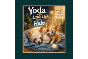 Yoda and the Little Light Halo