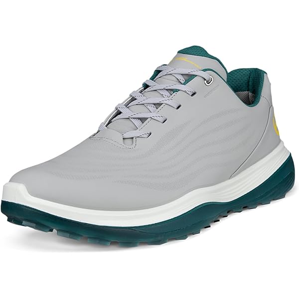 Amazon.com | ECCO Men's Biom Hybrid Hydromax Water Resistant Golf