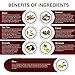 Best Coconut Oil Hair Treatment - Blend with 7 Essential Oils : Argan Oil, Tea Tree Oil, Coconut Oil, Avocado, Maracuja, Castor and Olive by Keeva Organics