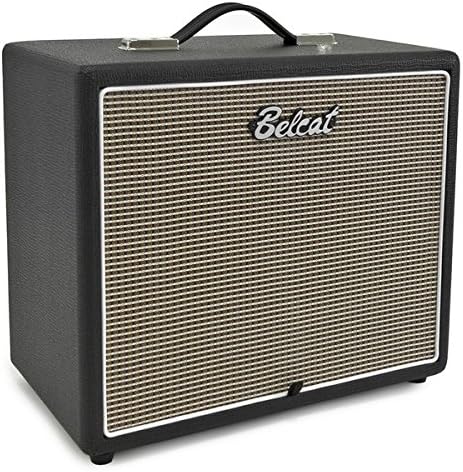 10 inch guitar speaker cabinet