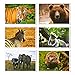 BEST PAPER GREETINGS 40 Pack Wild Animals Postcards Bulk 4x6 - Safari Animals - Blank Animals Post Cards for Mailing, 20 Assorted Photos