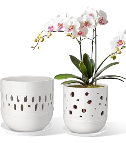 BUYMAX Lot De 2 Pots à Orchidée Avec Trous Et Soucoupes Pour La