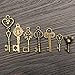 KINGSO 49pcs Antique Vintage Bronze Skeleton Key Charms Set DIY Necklace Pendant Jewelry Making Supplies