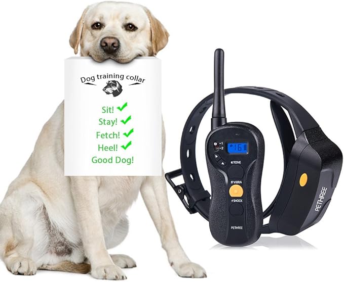 shock collar for 10lb dog