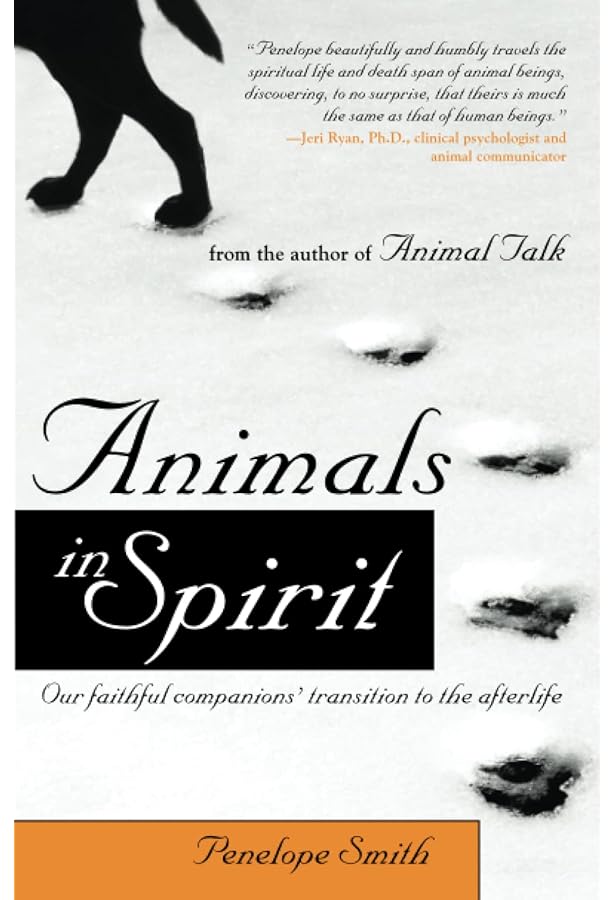 Animals in Spirit: Our faithful companions' transition to the ...