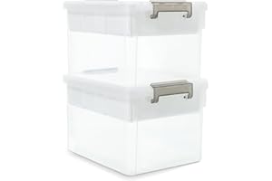 Citylife 17QT Plastic Storage Box with Removable Tray Craft Organizers and Storage Clear Storage Container for Organizing Bea