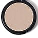 CCbeauty Illuminator Compact Powder Makeup Palette,0.32 Oz.,Color #1