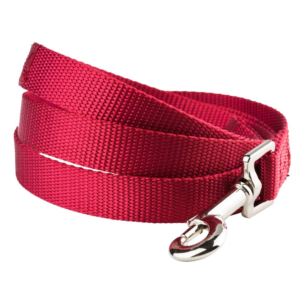 YUDOTE Basic Nylon Dog Leads Soft Strong Leash for Daily Walk with Medium to Large Breeds, 2.5cm Wide 120cm Long, Red