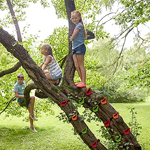 MOLANEPHY Ninja Tree Rock Climbing Holds Kit, 12 Climbing Holds with 6