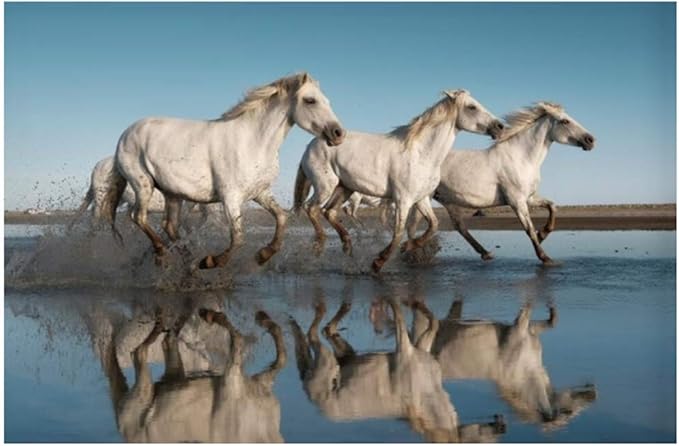 RuiChuangKeJi Drucke für Wände 70x95cm ohne Rahmen Laufpferde Water