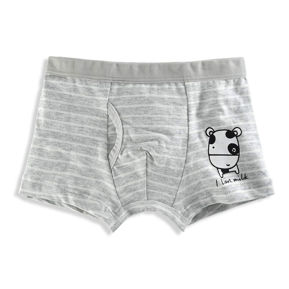 slaixiu Soft Cotton Kids Underwear Cartoon Boys Boxer Briefs 4-Pack (UW75-No.8-120)