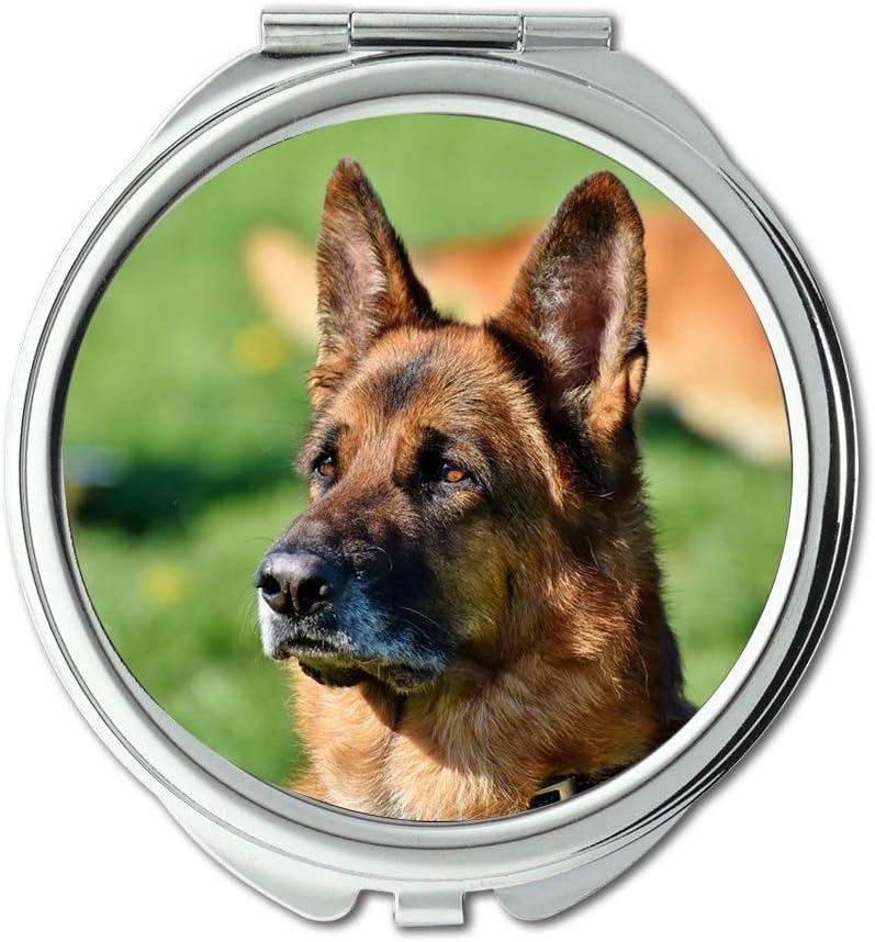 travel all dog guard