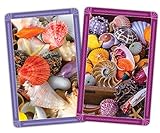 Springbok Seashells Playing Cards