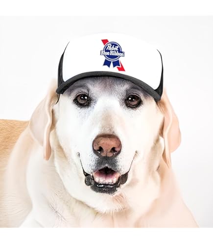Sunset Collection, PupLid Trucker Hats For Dogs (XS) Premium