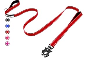 HEYDOGGY Strong Heavy Duty Dog Leash - 6ft Reflective Nylon Training Leash with Soft Padded Double Handle & Auto Lock Frog Clip - Safety Traffic Control for Large Medium Small Dogs No Pull Walking (Red,6ft)