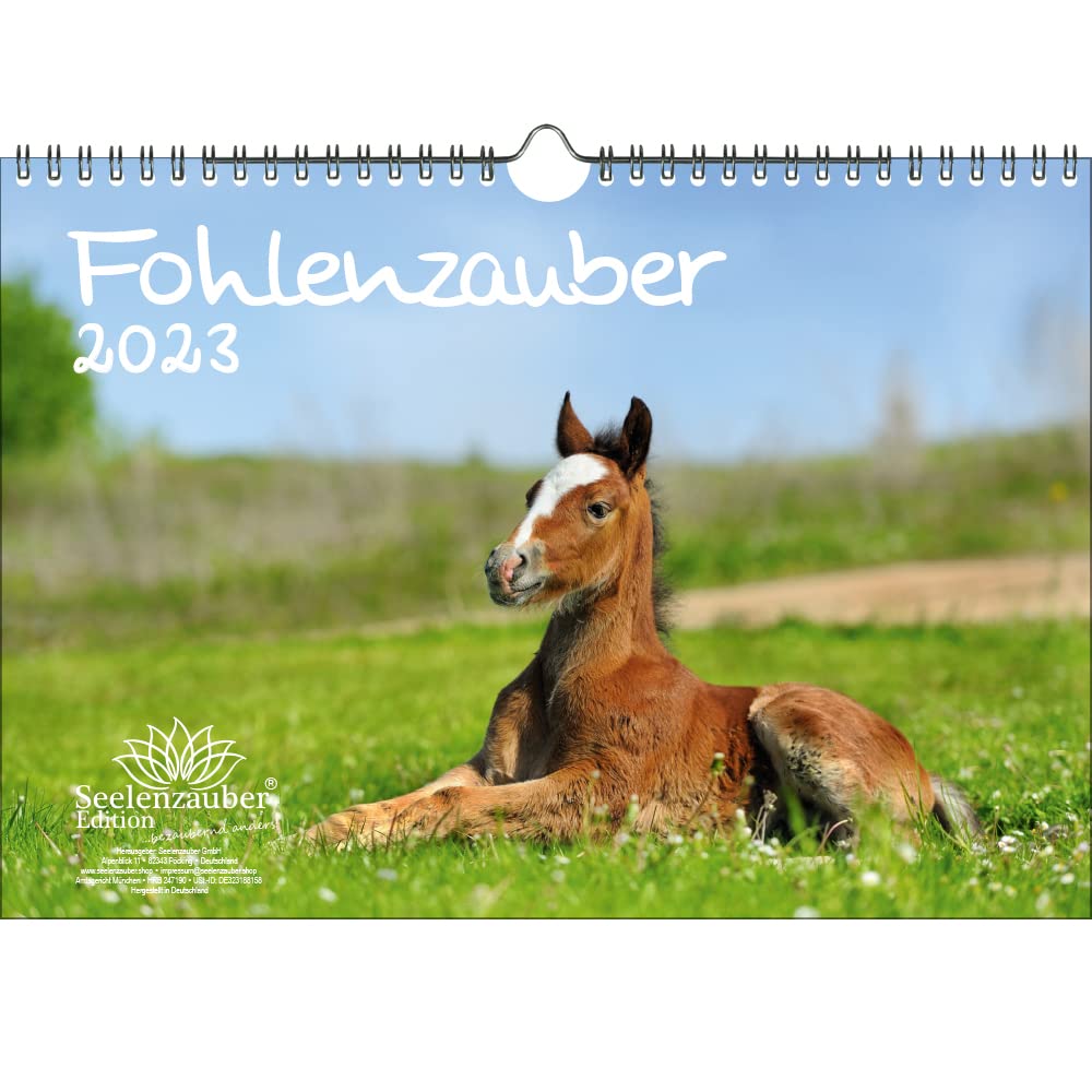Foal Magic DIN A4 Calendar for 2023 Horses and Foals Seelenzauber